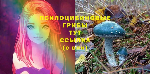 индика Вязники