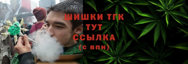 хмурый Кирс